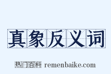 真象反义词是什么意思的图片